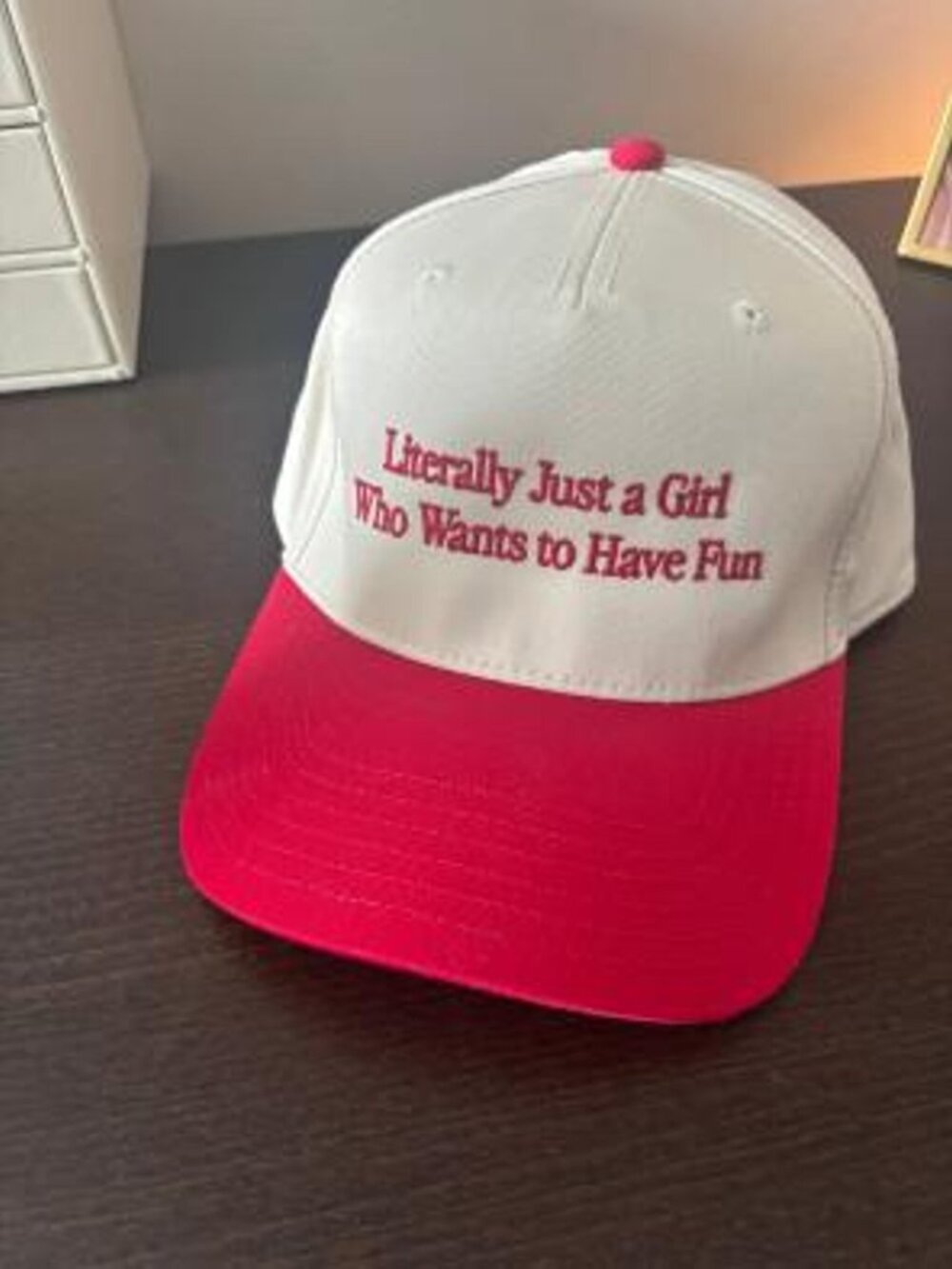 Just a Girl Wants Fun Embroidered Hat, Funny Quote Gift, Retro Slogan Trucker
